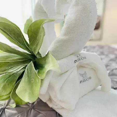 Fior Dei Carmeliti And Parking