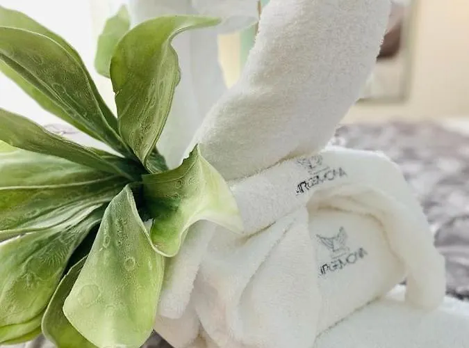 Fior Dei Carmeliti And Parking