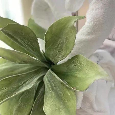 Fior Dei Carmeliti And Parking 4* Tropea