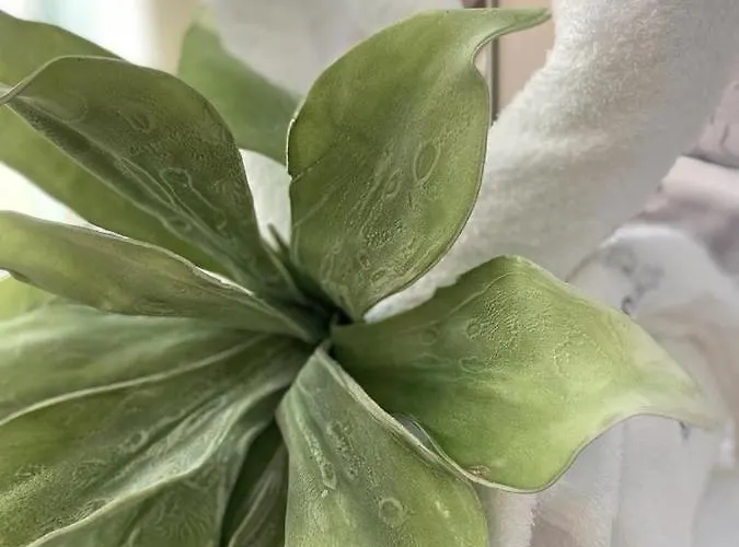 Fior Dei Carmeliti And Parking 4* Тропея